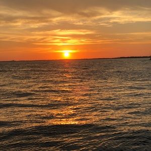 Meet your Posher, Natasha